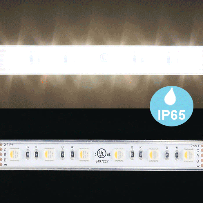 Waterproof 5050 24V RGBW+Neutral White 4000K Multi Color LED Strip, 60/m, 5m Reel, IP65